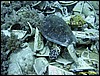 IMG_8564.JPG