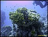 IMG_8589.JPG