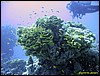 IMG_8590.JPG