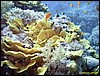 IMG_8594.JPG