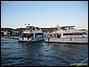 IMG_8619.JPG
