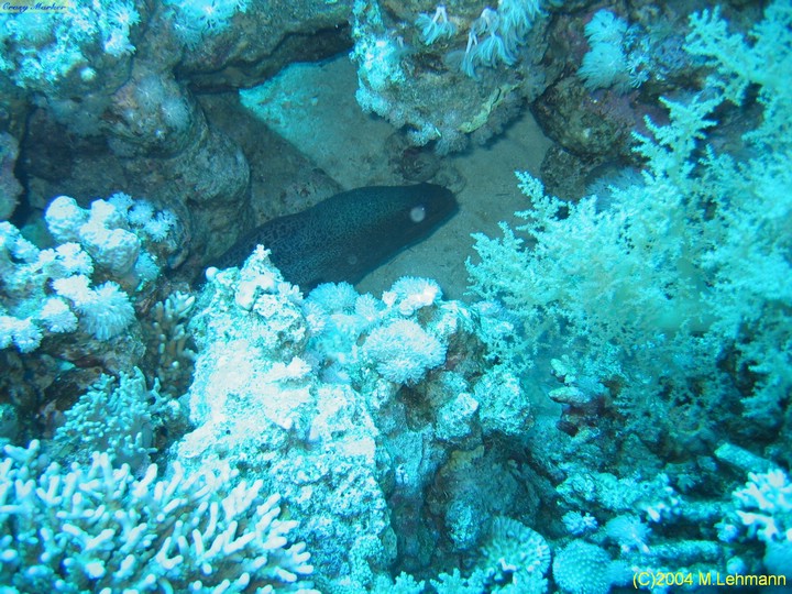 IMG_8674.JPG