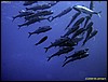 IMG_8690.JPG