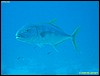 IMG_8695.JPG