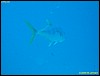 IMG_8696.JPG