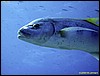 IMG_8697.JPG