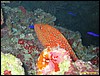 IMG_8704.JPG