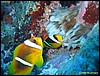 IMG_8706.JPG
