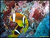 IMG_8707.JPG