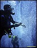IMG_8712.JPG