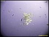 IMG_8713.JPG