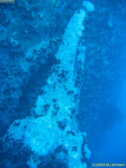 IMG_8800.JPG