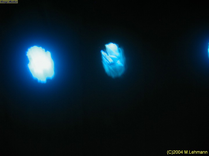 IMG_8817.JPG