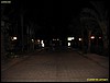 IMG_8737.JPG