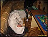 IMG_8739.JPG