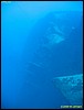 IMG_8748.JPG