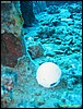 IMG_8807.JPG