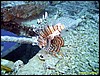 IMG_8827.JPG
