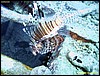 IMG_8828.JPG