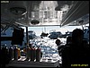 IMG_8832.JPG