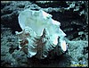 IMG_8845.JPG