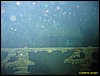 IMG_8847.JPG