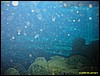 IMG_8856.JPG