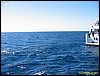 IMG_8880.JPG