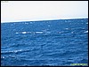 IMG_8882.JPG