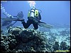 IMG_8924.JPG