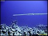 IMG_8929.JPG