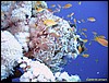 IMG_8932.JPG