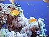 IMG_8933.JPG