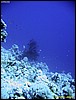 IMG_8948.JPG