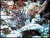 IMG_8955.JPG