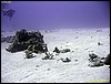 IMG_8959.JPG