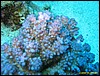 IMG_8964.JPG