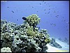 IMG_8968.JPG