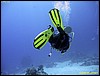 IMG_8970.JPG