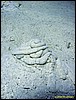 IMG_8973.JPG