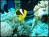 IMG_8974.JPG