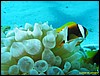 IMG_8978.JPG