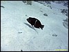IMG_8981.JPG