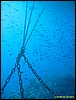 IMG_8983.JPG