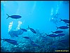IMG_8990.JPG