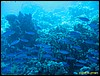 IMG_8991.JPG