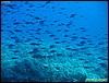 IMG_8992.JPG