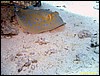 IMG_8998.JPG
