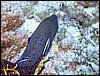 IMG_9027.JPG