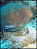 IMG_9028.JPG